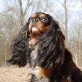 User avatar for Andreja Suhadolnik