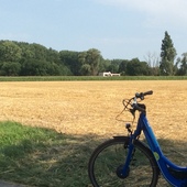 User avatar for Annelies De Corte