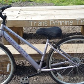 User avatar for Helen Jowitt