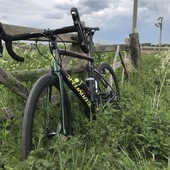 User avatar for Steve Presland