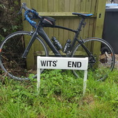 User avatar for David Whittington