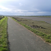 User avatar for Peter Woodhouse