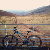 User avatar for Ester Vasallo