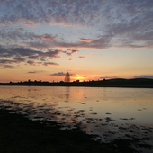 User avatar for Agata Kamrowska-Florek