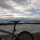 User avatar for Adalberto Balestri