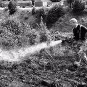 User avatar for Neil Shaw