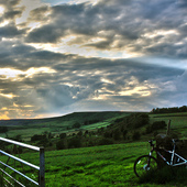 User avatar for Paul Perry