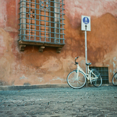 User avatar for Callum Strachan