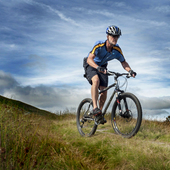 User avatar for Martin Jenkins