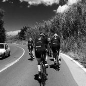 User avatar for Campbell Noon