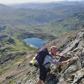 User avatar for Pete Waldock