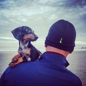 User avatar for P.F. Tytgat