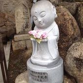 User avatar for Maarit Lehtinen