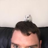 User avatar for Andy Smith