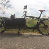 User avatar for James Van Litsenborg