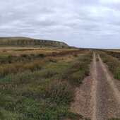 User avatar for Joseph Burns