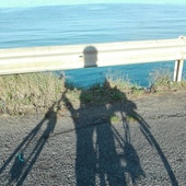 User avatar for Angelo53 Vacca