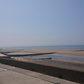 User avatar for Daniel Horner