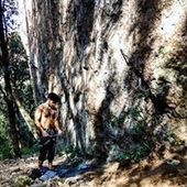 User avatar for Jesus Marini Parissi