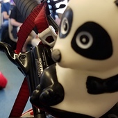 User avatar for Phil Clinard