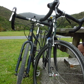 User avatar for Michele Hollis