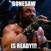 User avatar for Bonesaw Destroyer