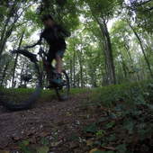 User avatar for Piotr Siwecki