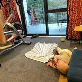 User avatar for Robert McGhee