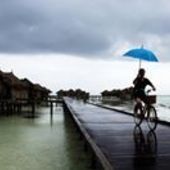 User avatar for Tim Fay