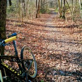 User avatar for Natale Brambilla