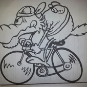 User avatar for Andrea Orecchini