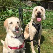 User avatar for Hazel Mc Ghee