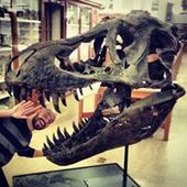 User avatar for Robert Theodore