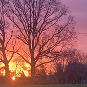 User avatar for Mark Hillman