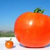 User avatar for Alan Wightman