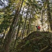 User avatar for Brian Hua