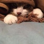 User avatar for Fiona Grant