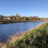 User avatar for Andy Walsh