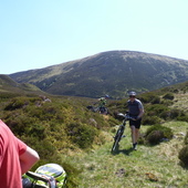 User avatar for Dave Gee