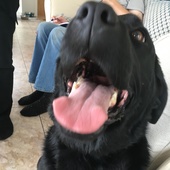 User avatar for James Stuttard