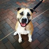 User avatar for Mark Adamiak