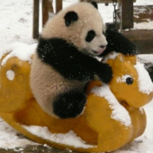 User avatar for Holly Painter