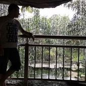 User avatar for Vito Lerry