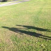 User avatar for Charlotte Rose