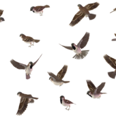 User avatar for David Moore