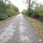 User avatar for Rebecca Berfanger