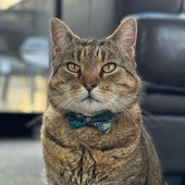 User avatar for Hayden Bed