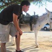 User avatar for Miguel Rueda