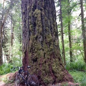 User avatar for Rich Gholaghong