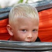 User avatar for Brian O'Hern